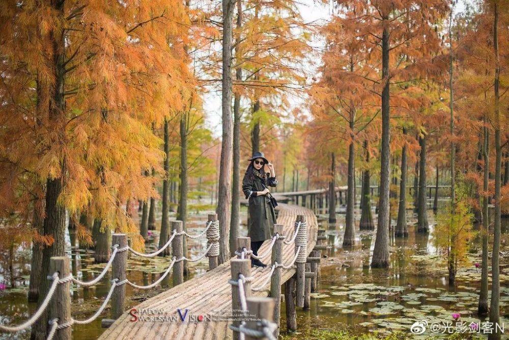 水结成冰的原理是什么