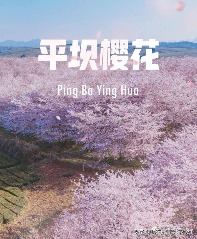 葡萄牙基金移民适合哪些人