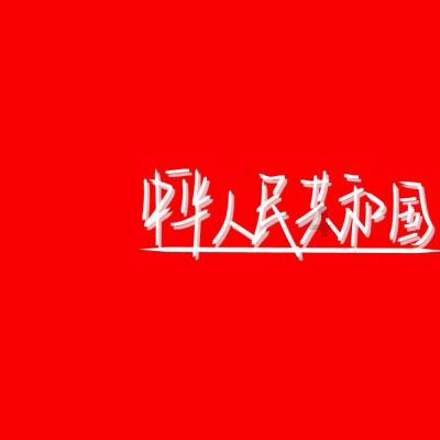 可爱的小考拉