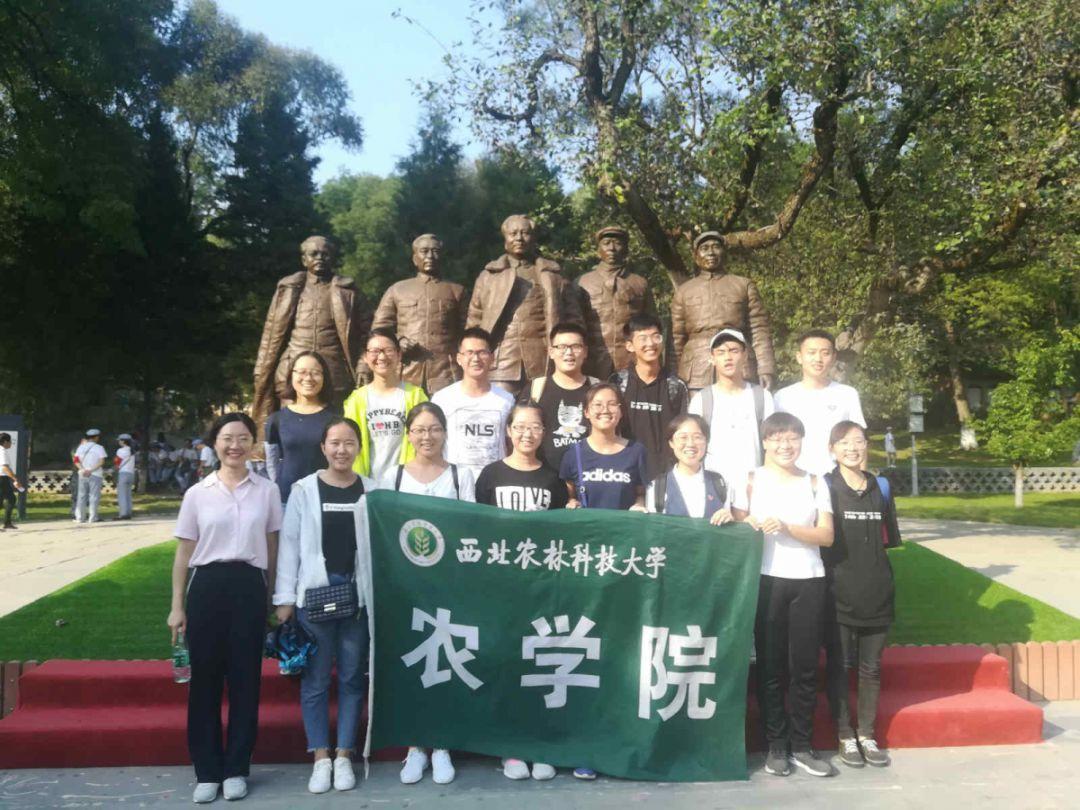 懒惰男孩拯救